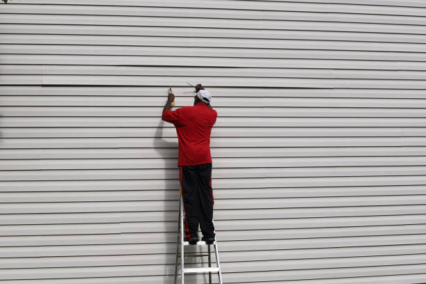 Best Insulated Siding Installation  in South Whittier, CA